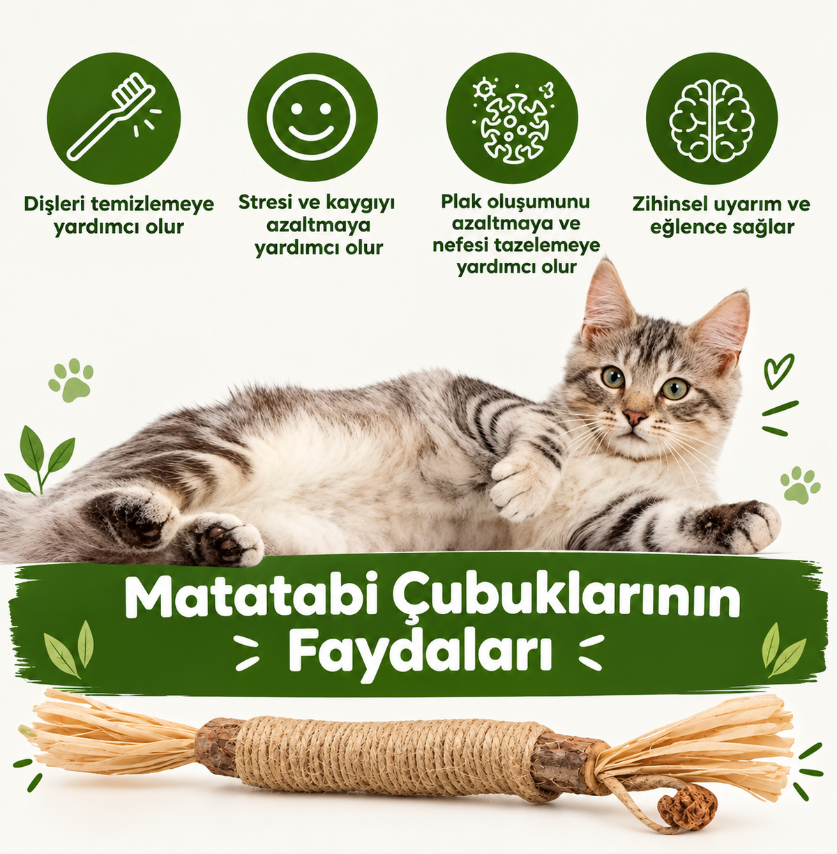 Matatabi Çubuğu