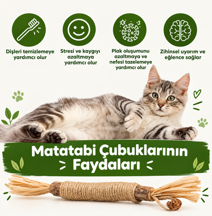 Matatabi Çubuğu