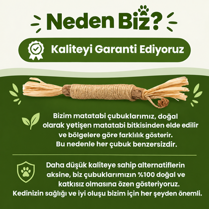 Matatabi Çubuğu