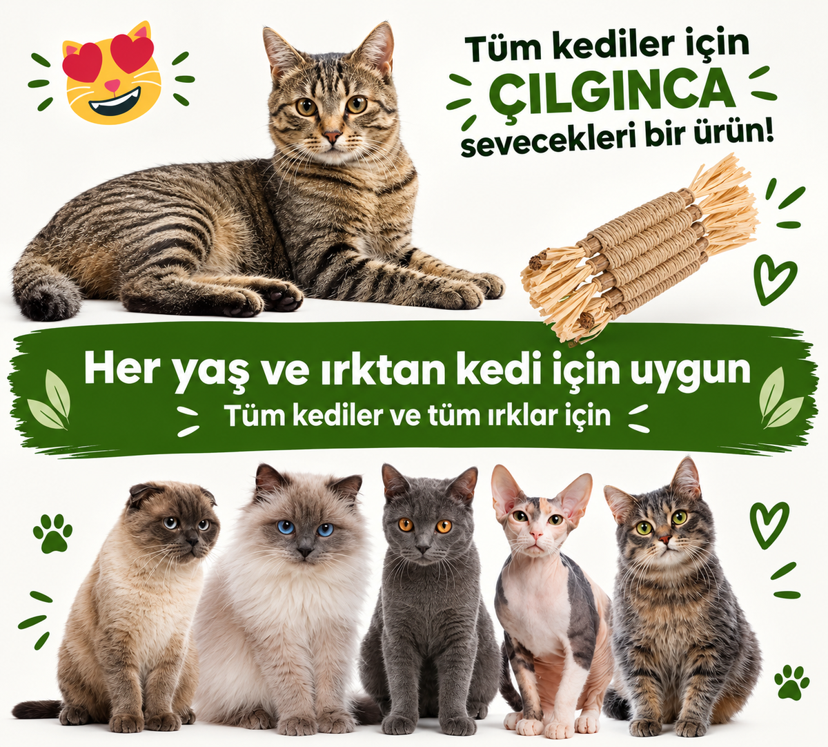 Matatabi Çubuğu